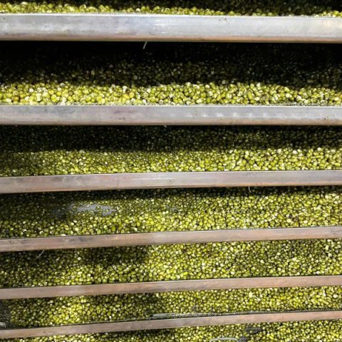 Bột đậu xanh rau má 500g