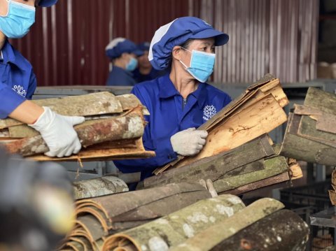 QUẾ THANH HỮU CƠ VINASAMEX 500G