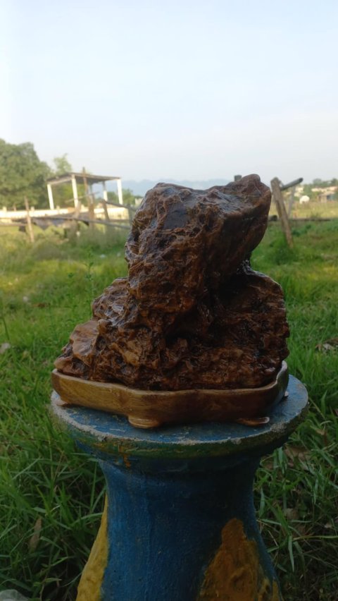 Đá cảnh nghệ thuật  8kg