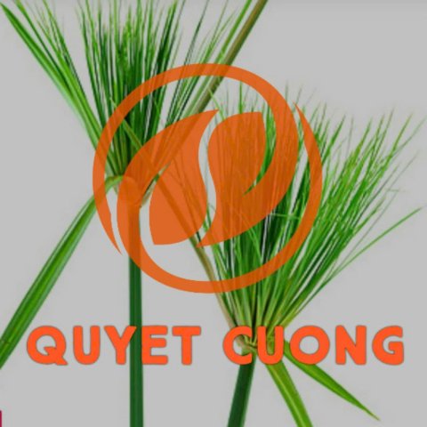 Mành cói xuất khẩu Quyết Cường 1m x 3m/2kg/cái